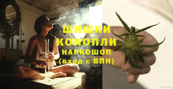 бошки Богородицк